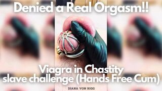 Denied a Real Orgasm!! Viagra in Chastity - slave challenge (Hands Free Cum)